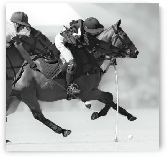 BZ9 6956 Enhanced NR 6 by Susan Lynn Cooke