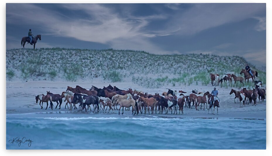 Overwatch  by Kelly Cosby Photography