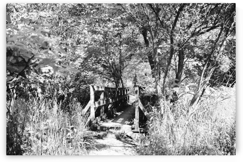 Trail Bridge - 9 Mile Run - B&W by Millie R Lissow