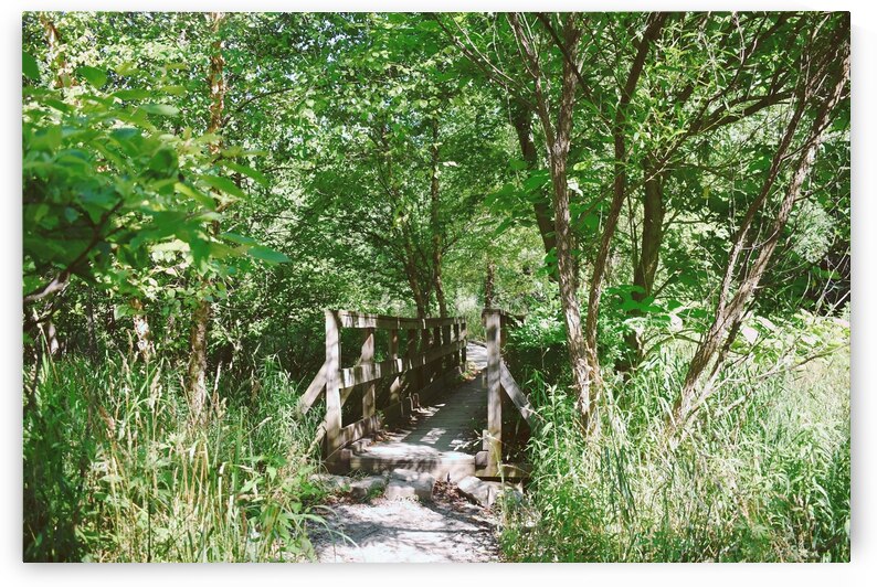 Trail Bridge - 9 Mile Run by Millie R Lissow