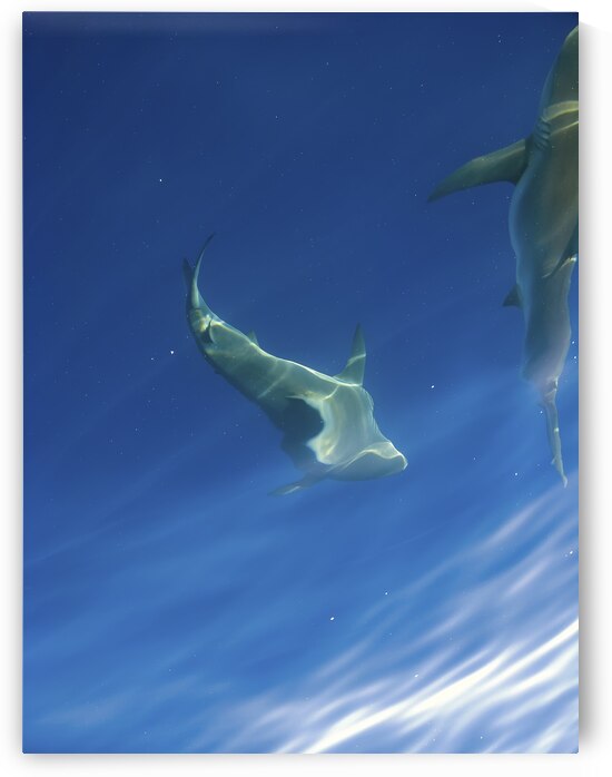 Wiggles by DeepEarth Photography