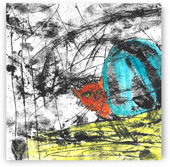 Peek a Boo Cat by Robert Burton