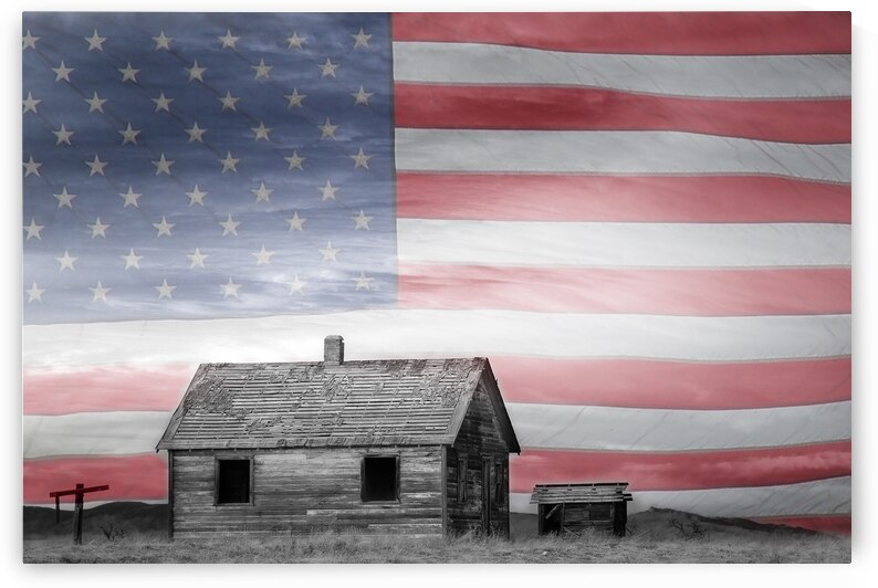 Rustic America by Bo Insogna
