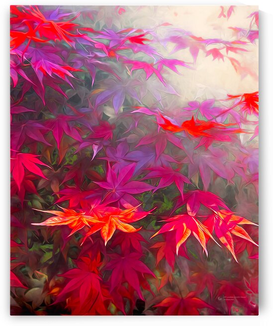 Maple Leaves 1 by ArcheanArt