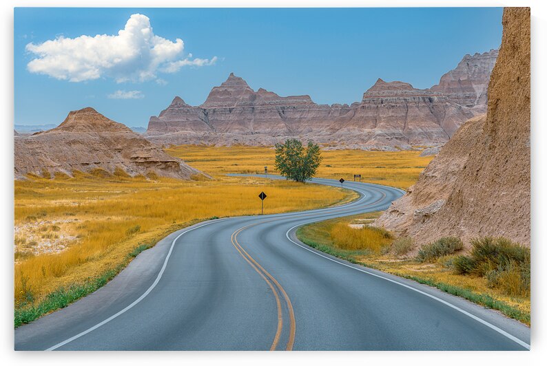 Badlands Road by Geoffrey Prior