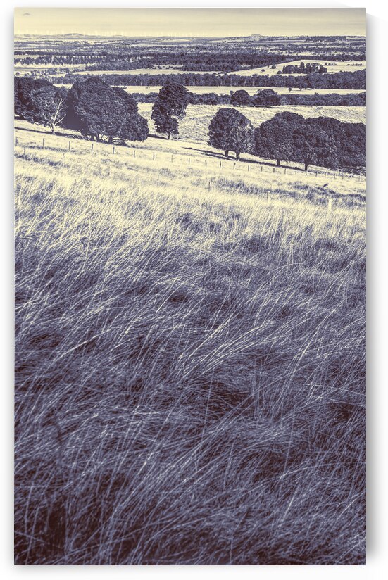 Kingaroy country by Jorgo