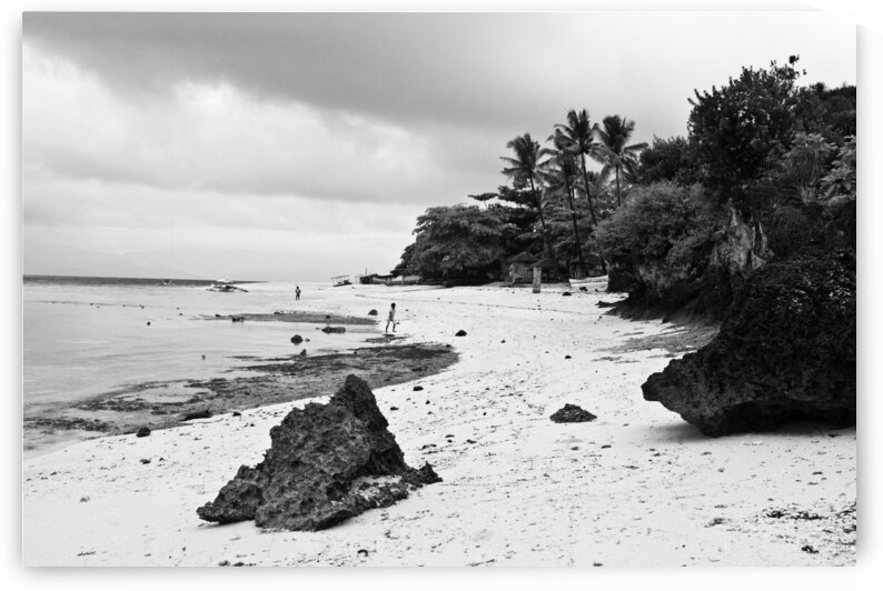 Moalboal Cebu White Sand Beach in Black and White by Bo Insogna