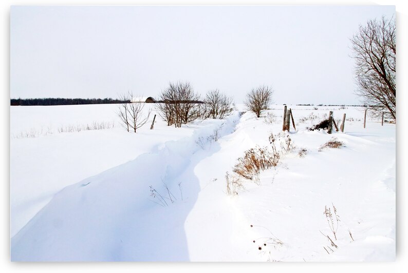 Winter Creek Snowdrifts by Deb Oppermann