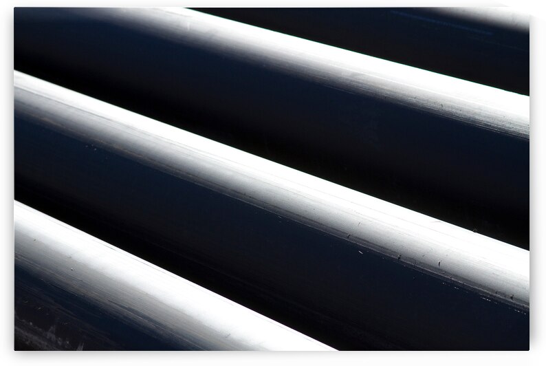 Shadow and Light  1 by Bo Insogna