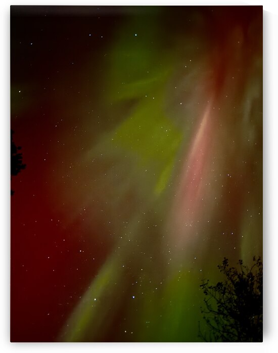 Celestial Dance of Red and Green Aurora by Lisa Drew