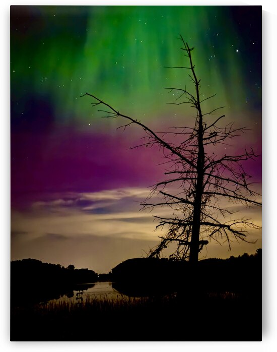 Celestial Solitude by Lisa Drew