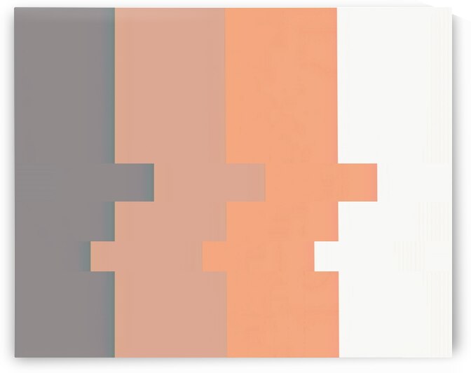 Transition Exchange by Millie R Lissow