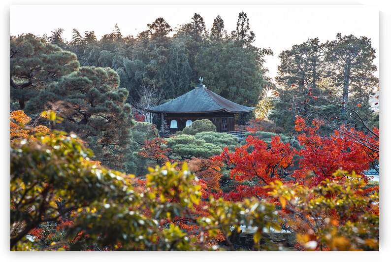 The ginkaku ji or silver pavilion by Gualtiero Boffi