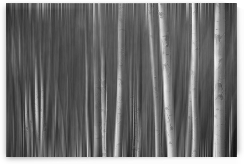 Somewhere Along the Road by Bo Insogna