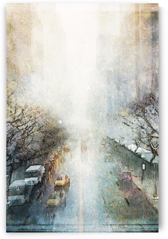 NANCY CALVERT PHOTOGRAPHY: NYC Snow 1 by Nancy Calvert