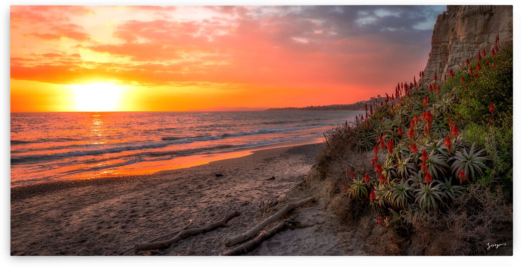 Loon Point- spring in California- landscape ocean art for sale by Jongas Photo