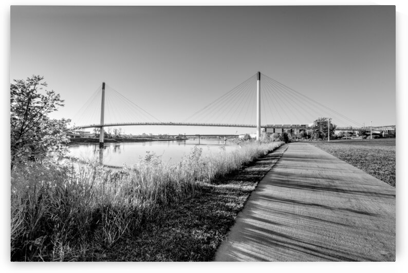 Golden Morning Walk In Omaha Grayscale by Jennifer White