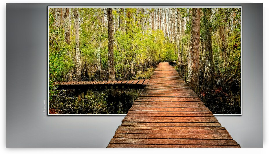 SWAMP WALK by Digicam