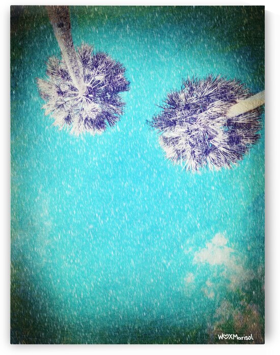 Daydream by With Love by Marisol