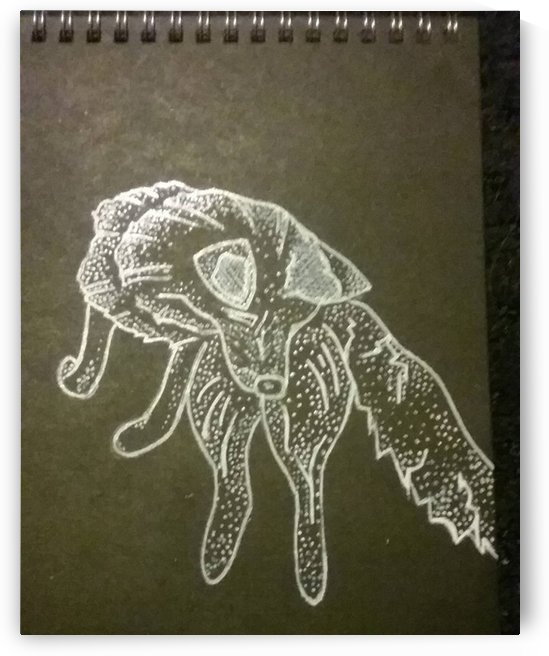 how high_1568752190.5308 by Kelsey Fedorchak