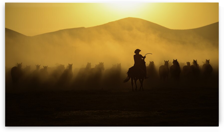 Chasing the Jades by Yavuz Pancareken
