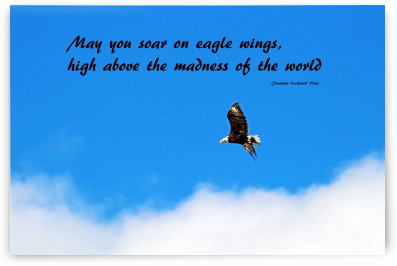 Soar On Eagle Wings by Deb Oppermann
