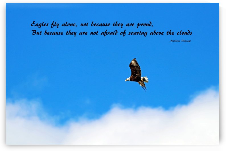 Eagles Fly Alone by Deb Oppermann