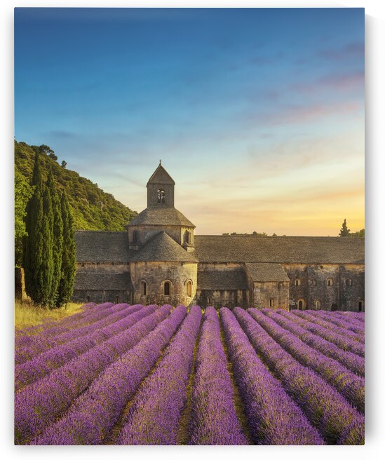Senanque Abbey and lavender at sunset by Stefano Orazzini