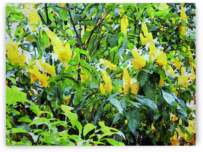 Vibrant watercolor of butterfly bush with lush green leaves and yellow blooms by Gestalt Imagery