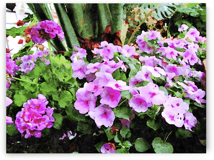 Vibrant watercolor painting of impatiens flowers in lush green garden by Gestalt Imagery