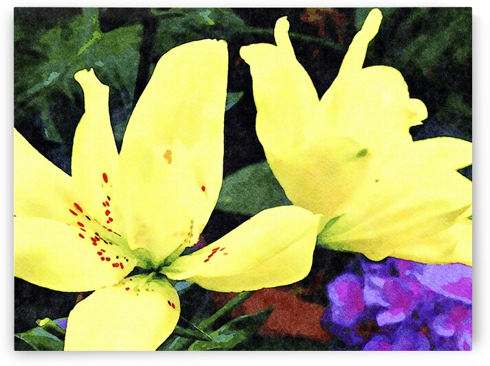 Vibrant yellow lilies in a watercolor style against greenery and yellow blooms by Gestalt Imagery