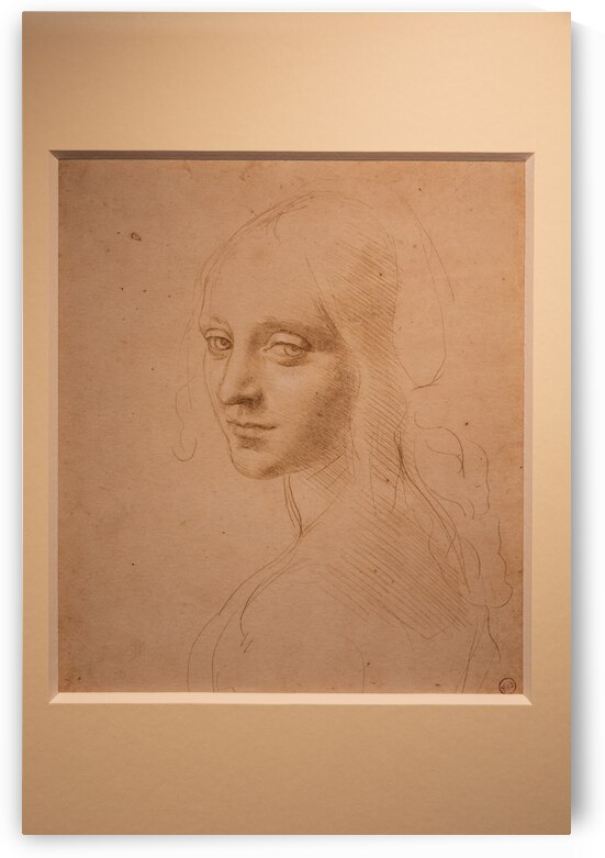 Leonardo da Vinci drawings on handmade cotton paper Royal Libra by Paolo Modena