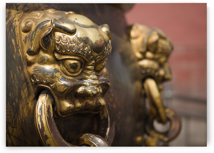 Cauldron Lion by Dave Bowman