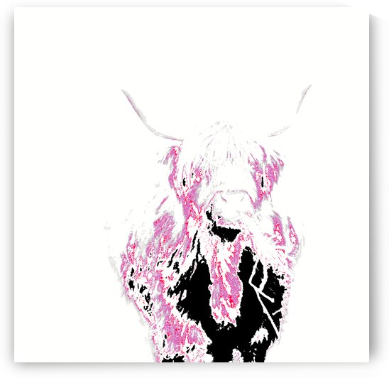 Abstract Pink Minimalist Highland Cow by Catriona Roberts Nature Photography and Designs