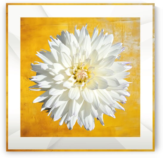 007 010 by Jack Deco