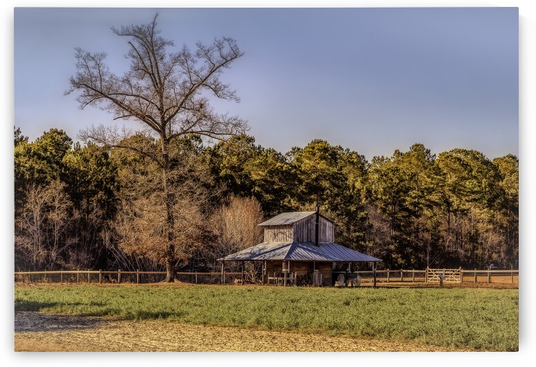 Old Myrtle Beach Barn by Norma Brandsberg Photography
