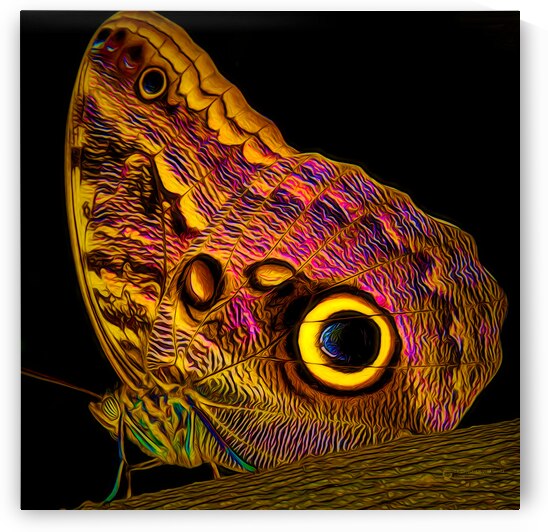 Butterfly Dreams 1 by ArcheanArt