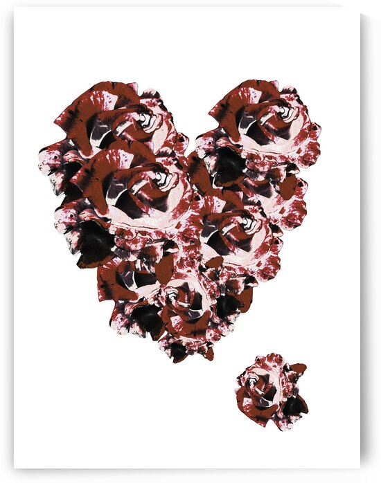 Abstract Roses Heart by Catriona Roberts Nature Photography and Designs