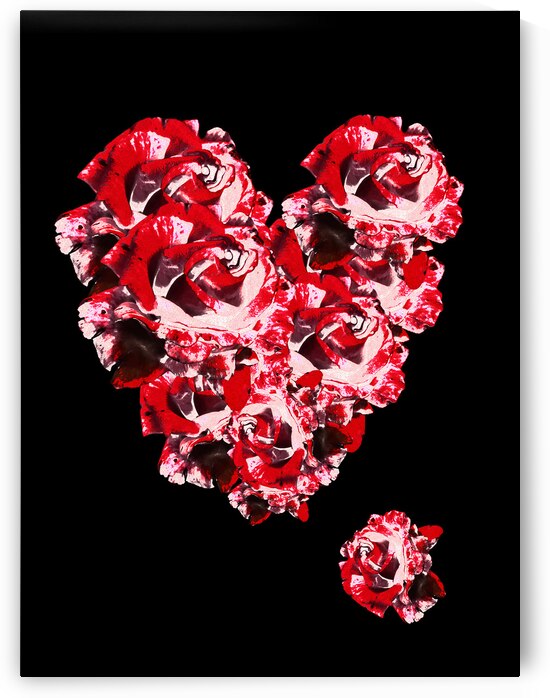 Abstract Red Roses Heart by Catriona Roberts Nature Photography and Designs