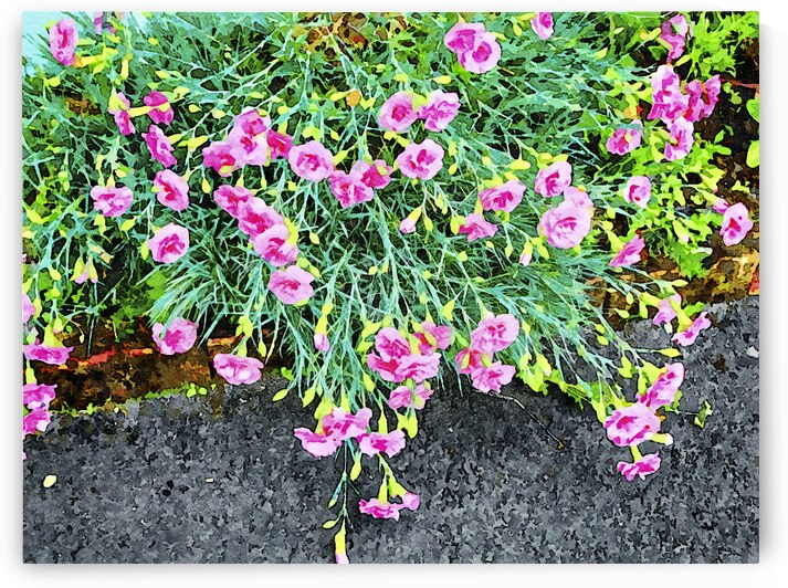 Vibrant watercolor painting of pink carnations in a lush garden setting by Gestalt Imagery