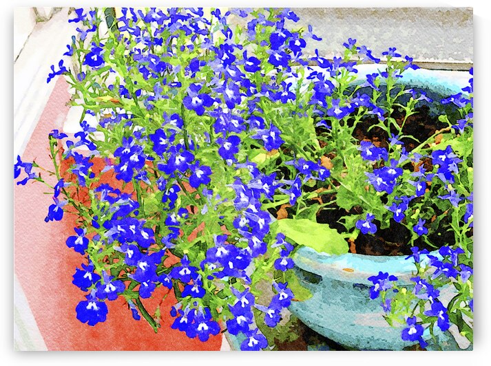 Vibrant watercolor painting of blue lobelia flowers in a garden pot by Gestalt Imagery