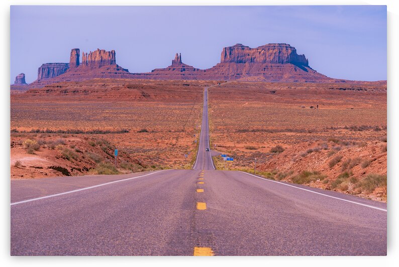 Forest Gump View by Geoffrey Prior