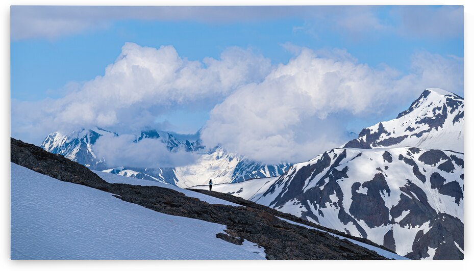 Kenai Vista by Geoffrey Prior