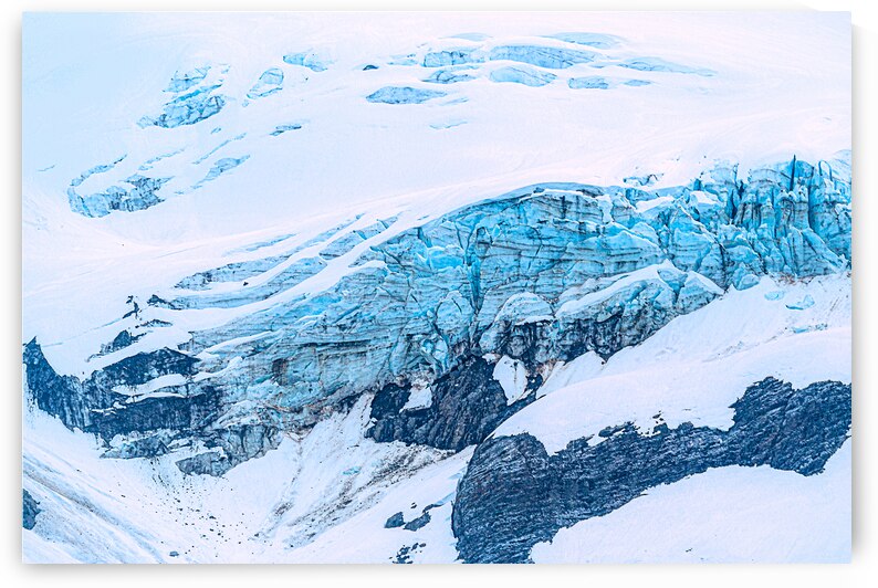 Banded by Geoffrey Prior