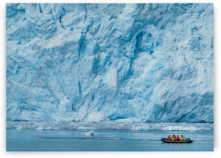 Aialik Close Up by Geoffrey Prior