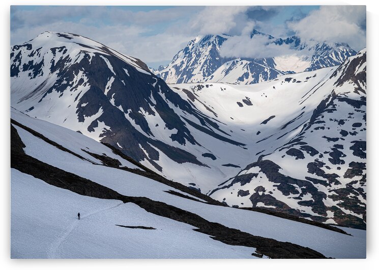 Exit Glacier Hiker by Geoffrey Prior