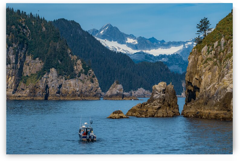 Kenai Fjords Vista by Geoffrey Prior