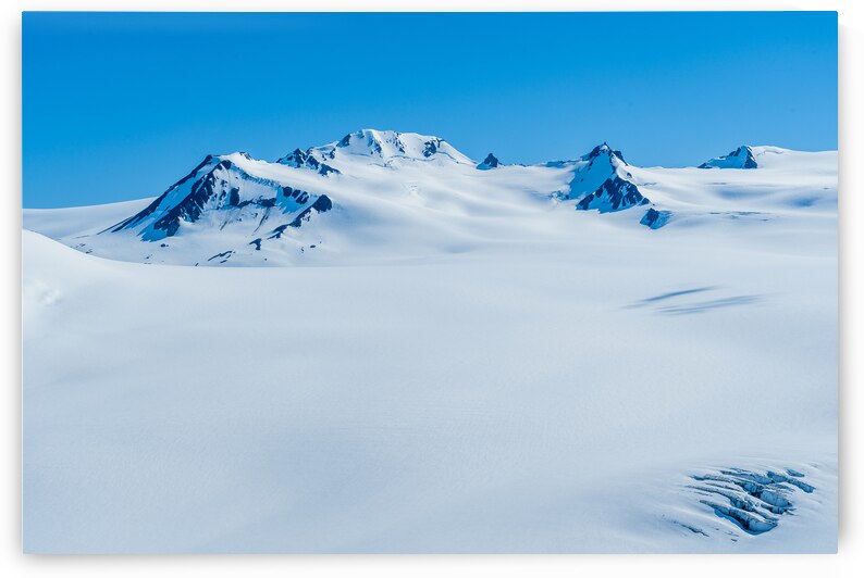 Icefield View by Geoffrey Prior