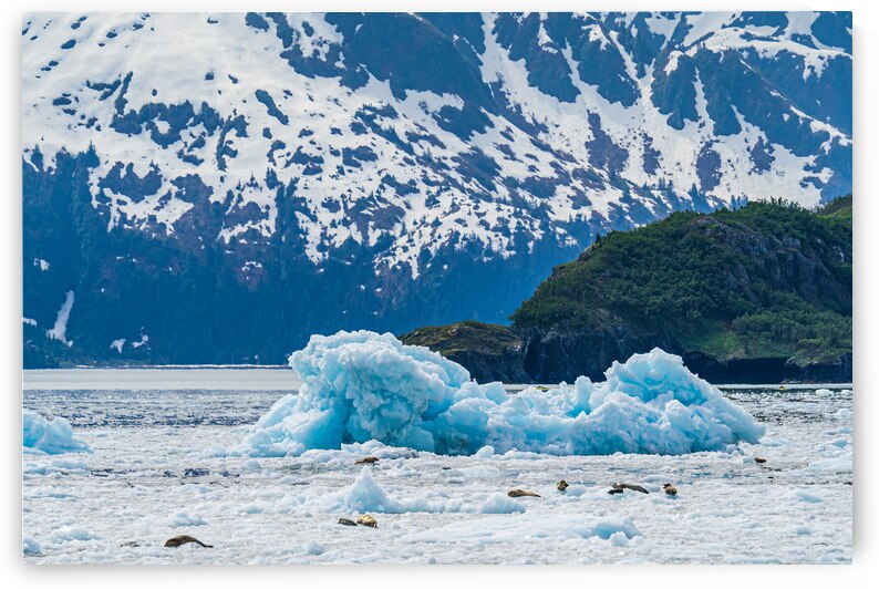 Aialik Ice by Geoffrey Prior