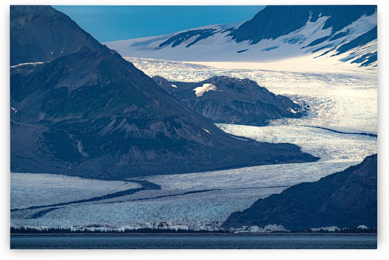 Bear Glaicer by Geoffrey Prior